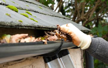 gutter cleaning Amisfield, Dumfries And Galloway