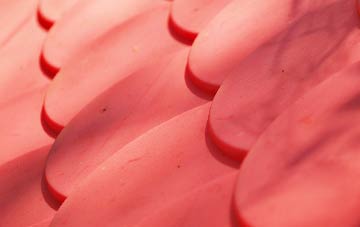 Amisfield plastic roof costs