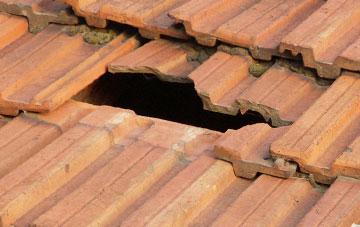 roof repair Amisfield, Dumfries And Galloway